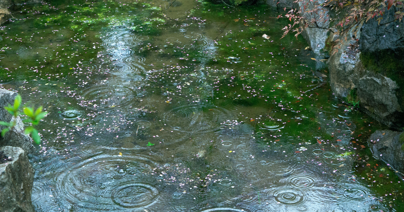 酸性雨のイメージ