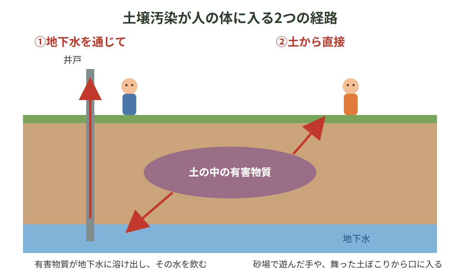 土壌汚染が人の体に影響する経路